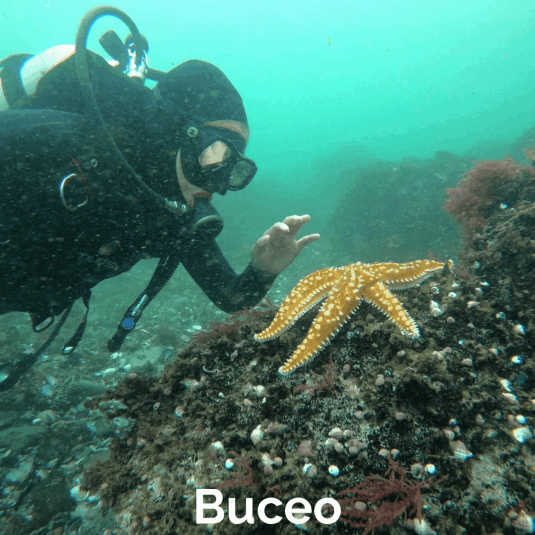 img-servicios-asociados-buceo-1942